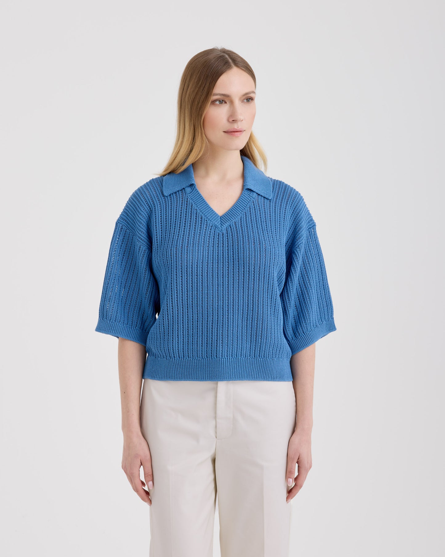 Polo skipper |242123|